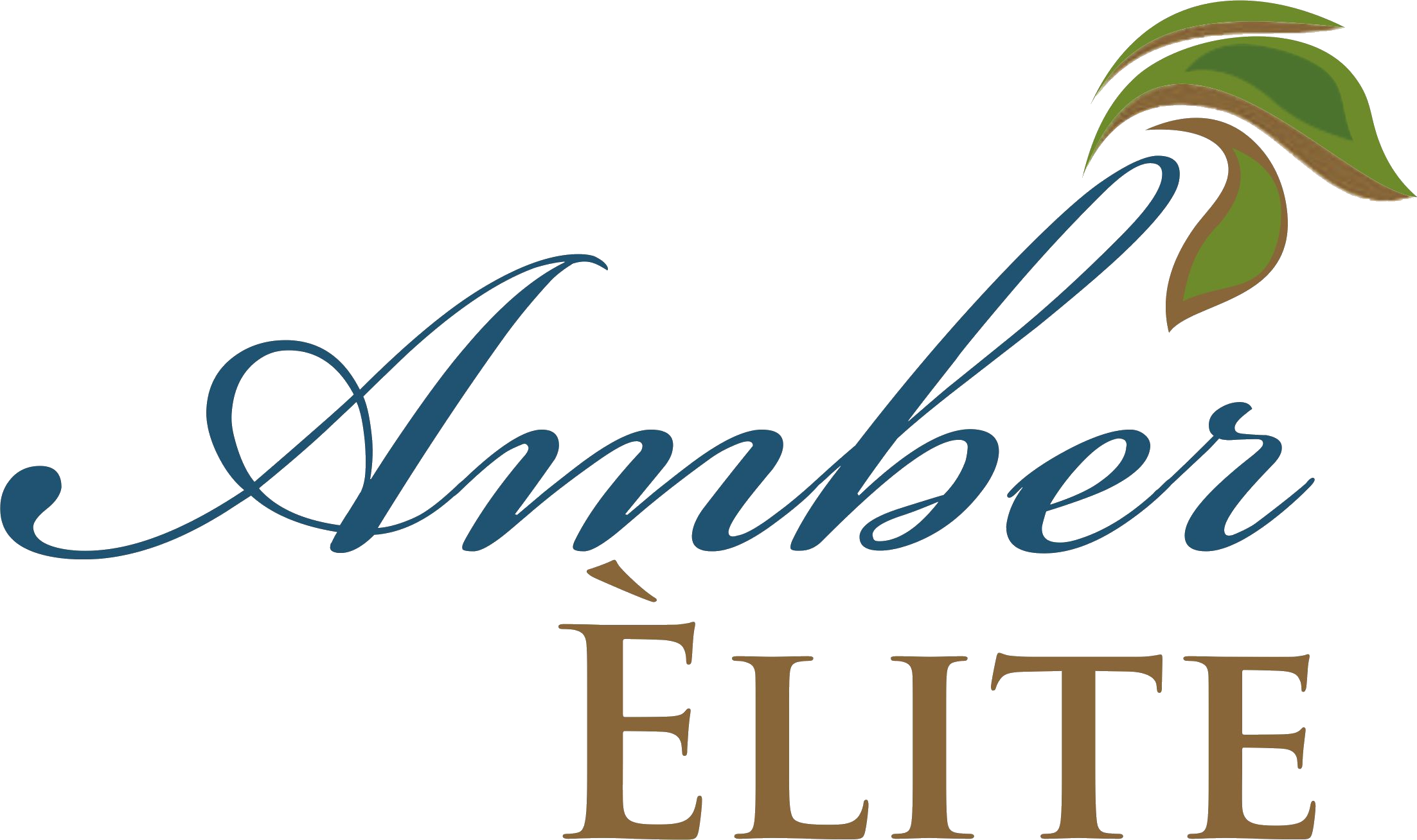 Amber Elite logo